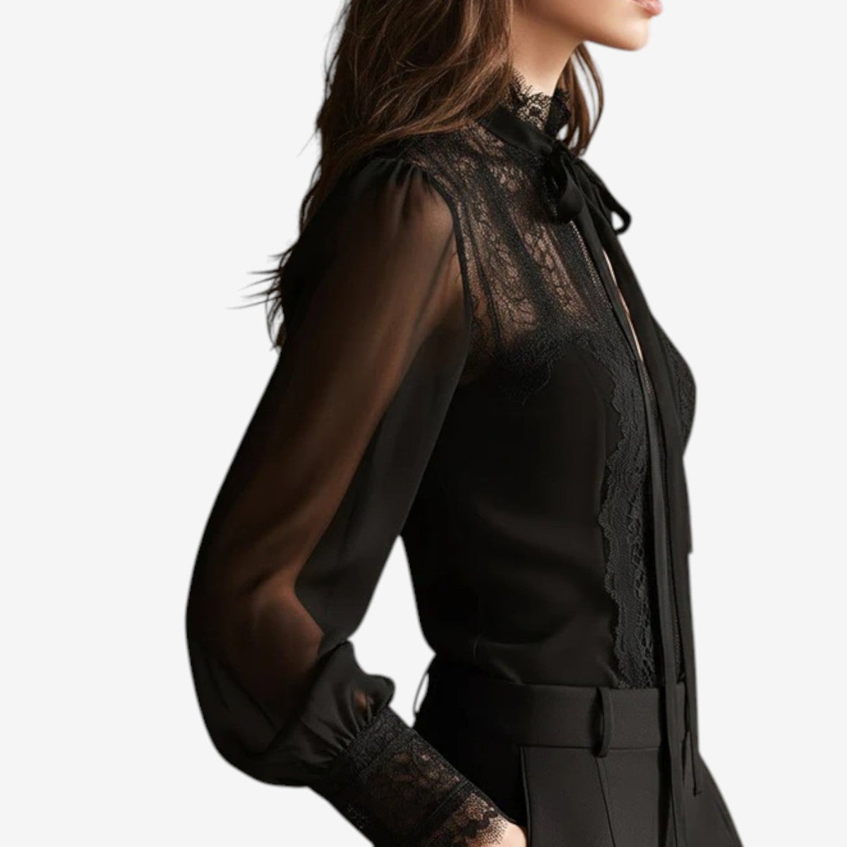 Tetyana™ Elegant Sheer Blouse
